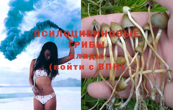 прущие крисы Богородицк
